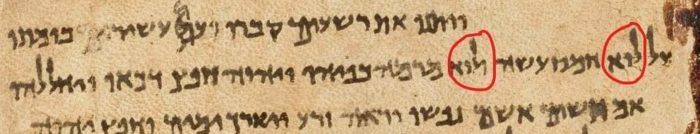 photo of matres lectionis in Hebrew 