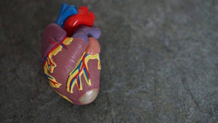 photo of a heart